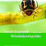 Taxon expeditie Wilmkebreek Polder 2020.pdf