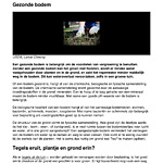 amsterdam_rainproof_-_gezonde_bodem_-_2021-09-03.pdf
