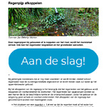 amsterdam_rainproof_-_regenpijp_afkoppelen_-_2021-09-04.pdf
