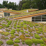 Flickr - Green roof