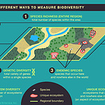 how to measure biodiversity.jpeg