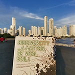 Cartagena BiodiverCITY