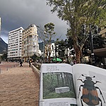 BiodiverCITY Bogotá Colombia