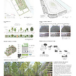 Individual Project - Productive Forest in the Biotope City