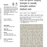 Trade-offs between foraging reward and mortality risk drive sex-specific foraging strategies in sexually dimorphic northern elephant seals