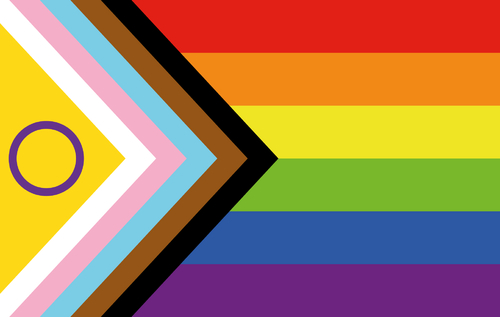 Intersex inclusive pride flag | Valentino Vecchietti