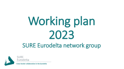 SURE-Working-plan-2023-ext (1).pdf