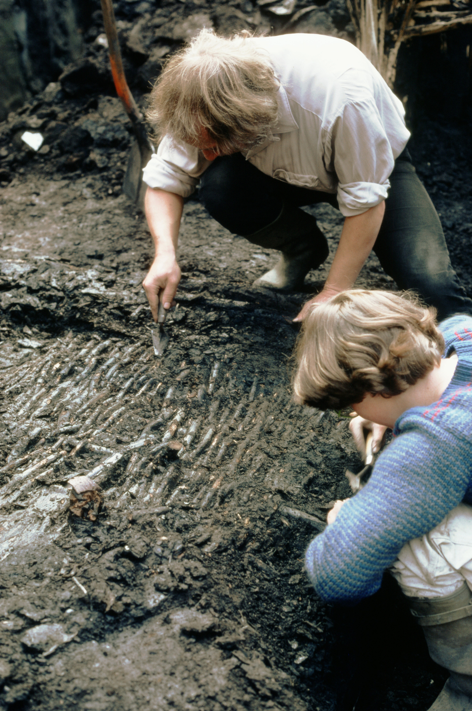 Het vrijleggen van een omgevallen vlechtwerkwand van een dertiende-eeuws huis aan de Nieuwendijk. | Foto: Monumenten en Archeologie.