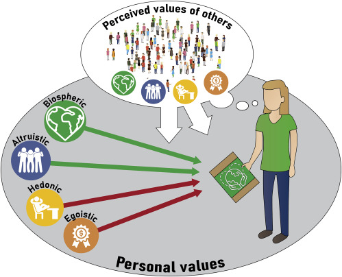 Bouman & Steg (2019) How Individuals’ Personal Biospheric, Altruistic, Hedonic, and Egoistic Values, as well as Their Perceptions of Others’ Values, Affect Pro-environmental Actions