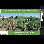 AIWW2021 - TS13 - Arjen de Vos: Crop Cultivation under Saline Conditions